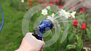 close up male hand holding water hose and watering lawn or plants on backyard. gardener man with sprinkler in garden