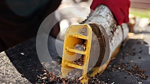 Close up of male hands chopping birch firewood on a hydraulic wood splitter. Sawmill. Birch firewood for fireplac