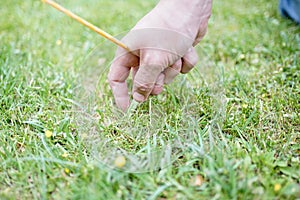 Close up of male hands pegging down a tent on grass.