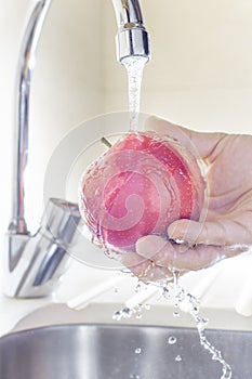 Close up male hands washing apple under water in sink