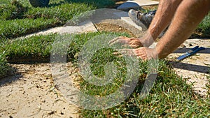 CLOSE UP: Male landscaper cuts a patch of grass with a sharp industrial knife.