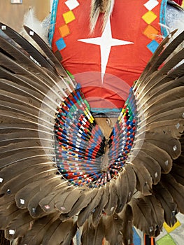 Close Up of a Male Pow Wow Dancer`s Feather Bustle