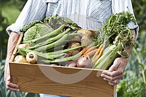 Close Up Of Man On Allotment With Box Of Home Grown Vegetables photo