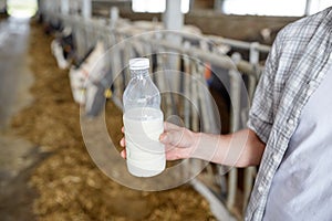 Close up of man or farmer with milk on dairy farm