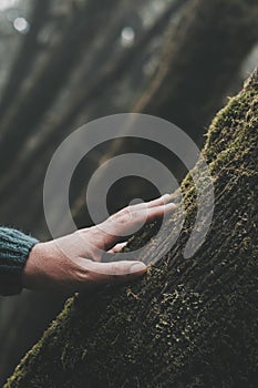 Close up of man hand touching softly a tree trunk with green musk. Concept of environment and nature protection people lifestyle.