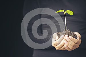 Close up man hands holding small plant