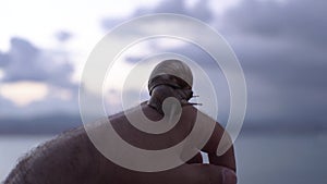 Close-up of man holding snail on hand. Media. Large snail sits on man`s arm on background of blurry overcast sky. Great