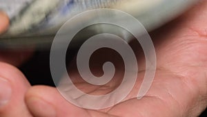 Close-up of a man holding a stack of dollars in his hands. The man received a bribe. Dirty money