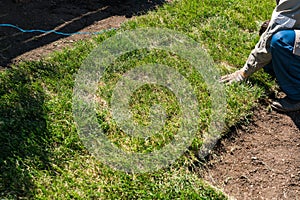 Close-up man laying grass turf rolls for new garden lawn