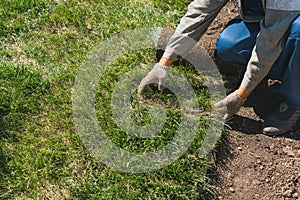 Close-up man laying grass turf rolls for new garden lawn