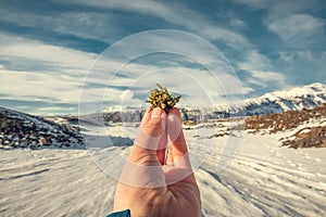 Close up man with moss at snowy highland concept photo