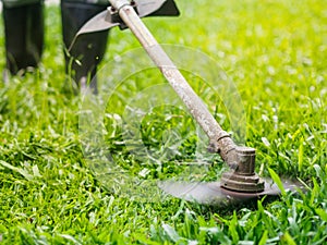 Close up the man mowing the grass. Gardening concept.