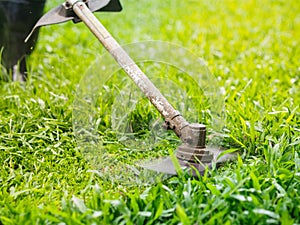 Close up the man mowing the grass. Gardening concept.