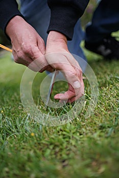 Close up of a man pegging down a tent on grass.