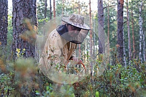 Close up of man picking wild blueberries