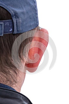 Close-up of a man's ear isolated on white