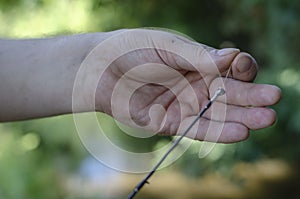 Close-up of a man`s hand with a fishing line and fishing rod