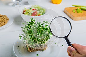 Close up Man`s Hand Holding Magnifying Glass looking at fresh microgreen sprouts on the plate and vegetable slalad on the white