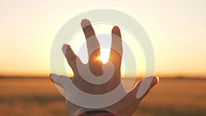 Close-up of a man`s hand. The man`s hand reaches for the sun. Sun glare in the fingers. The concept of travel, religion