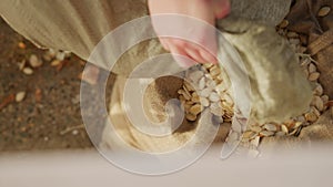 Close-up of a man's hand pouring pumpkin seeds from one bag into another bag