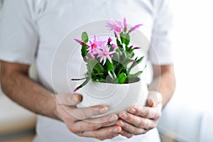 Close up of man's hands holding flower in pot