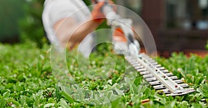 Close up of man shaping bushes with electric trimmer