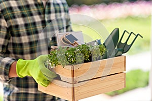 close up of man with tools in box at summer garden