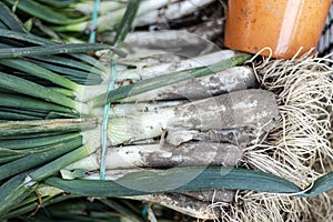 Close-up of Manat de calçots with calçots sauce, typical sweet onion known with calÃ§ots, typical Catalan dish