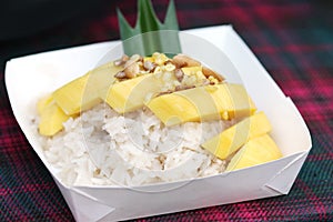 Close up mango rice, Thai food