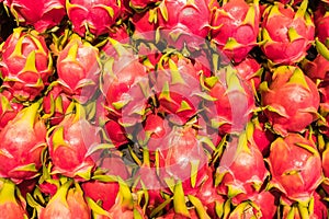 Close-up Many dragon fruit is a Thai fruit for background