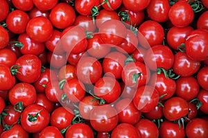 Close up of many fresh red tomatoes