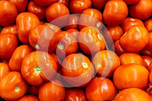 Close up of many fresh red tomatoes big fruit type