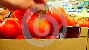 Close-up of many tomatoes on a branch in a supermarket carton box and a male hand takes one branch