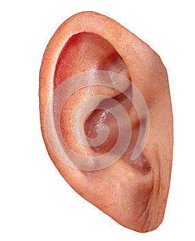 Close up of manâ€™s ear isolated on white background