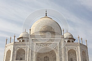 Close-up of marble wall relief, Taj Mahal, Agra, India