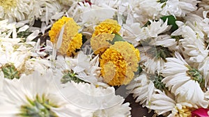 Close up Marigold Flower garland background
