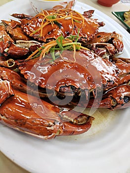 Close-up of marmite crab photo