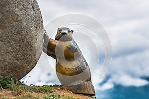 Close up of a Marmot statue roll a stone ,the pyrenees, France, Europe