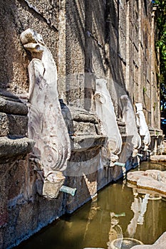 Close up of Martinho Fountain, in Castelo de Vide, Portugal. photo