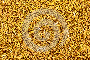Close up mealworm feed for animals in the market