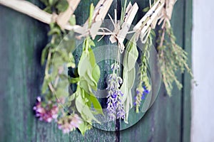 Close up of Mediterranean herbs bouquets, sage, basil, lavender, thyme on rustic green wooden table background hanging with wooden