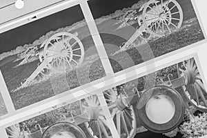 Close-up of Medium Format Negatives on a Light Table