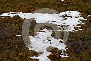 Close-up of melting snow in spring.