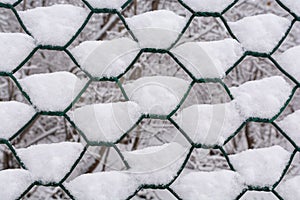 Close-up of a metal chain-link fence with adhering white snow