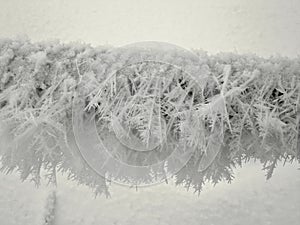 Close-up of a metal fence covered with beautiful frost. Leningrad region.