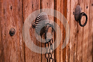 Close up of a metal head door knocker