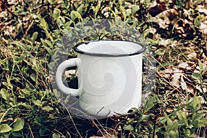 Close up of metal mug on forest ground among blueberry shrubs and oak leaves. Outdoor tea, coffee time. Mockup of white