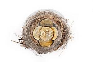 Close up of metal shiny bitcoin in a bird nest. Electronic decentralized money concept