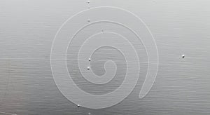 Close-up of metallic surface with rivets and textured lines