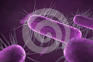 Close up of microscopic bacteria , 3d illustration